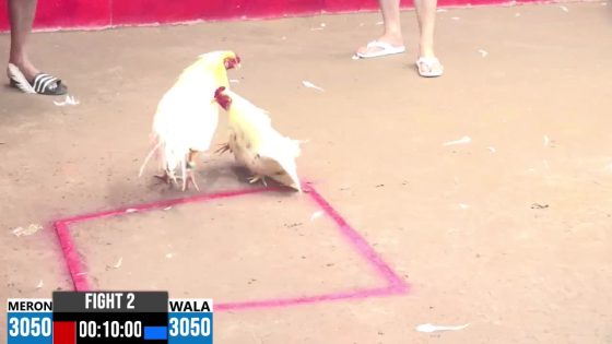 TRẬN 2 CPC3 NGÀY 3/8/2025 : BƯỚM LINH KÊ CHÚ DŨNG KHIẾN ĐỐI THỦ KHÔNG DÁM PHẢN ĐÒN