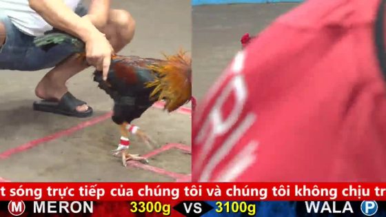 thumbnail 306