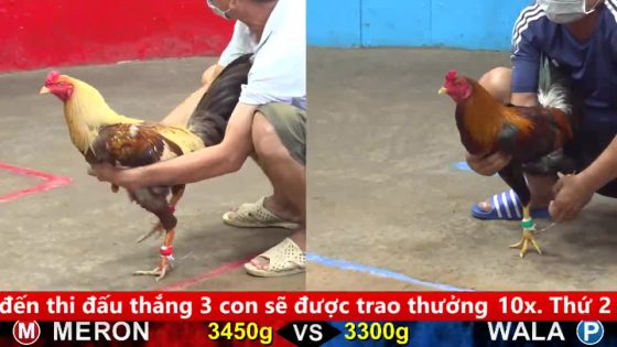 thumbnail 332