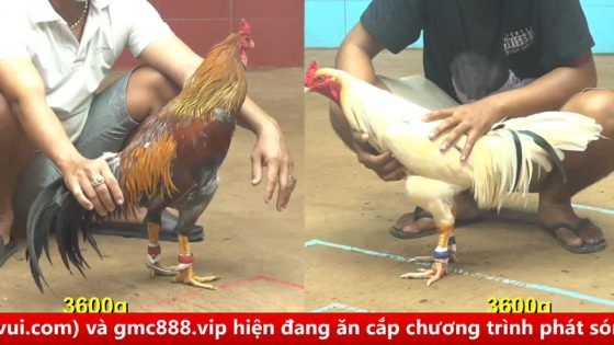 thumbnail 347