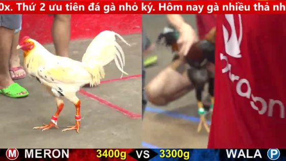 thumbnail 349
