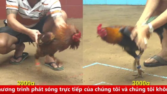 thumbnail 351