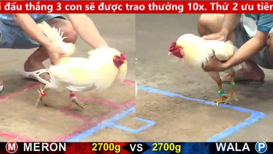 thumbnail 353