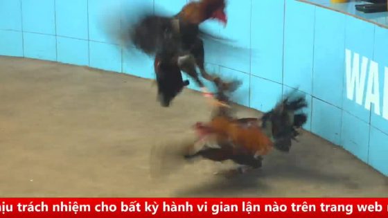 thumbnail 369