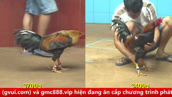 thumbnail 378