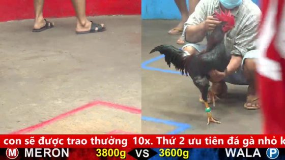 thumbnail 429