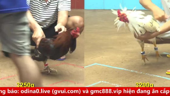 thumbnail 441