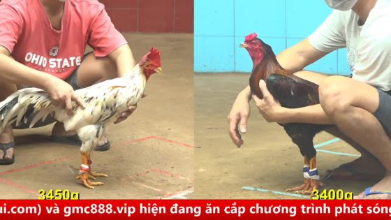 thumbnail 445