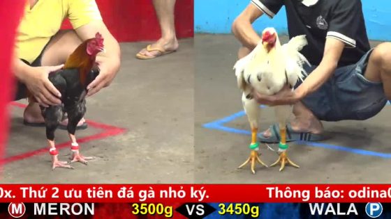 thumbnail 461