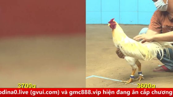thumbnail 466