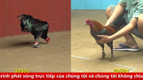 thumbnail 105