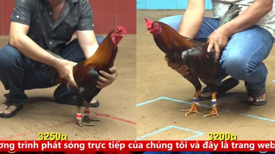 thumbnail 124