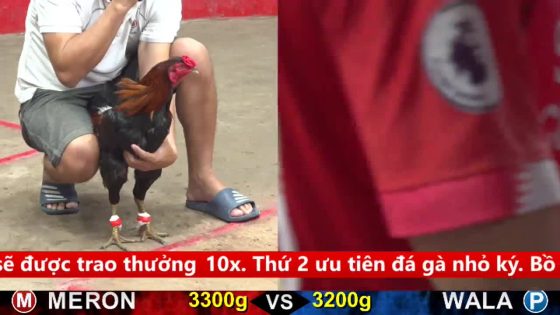 TRẬN 16 CPC5 17/9/2025 : ÚA ĐÂM ĐIỀU CÂY NÁCH NON ĐIỀU HO SI RÔ NẰM TẠ CHỖ