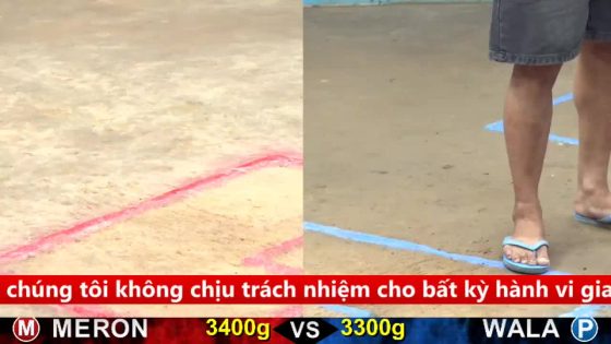 TRẬN 9 CPC5 17/9/2025 : KHÉT SIÊU MỸ ĐÂM BƯỚM VIỆT LAI LỌT BỌNG BAY BỒ