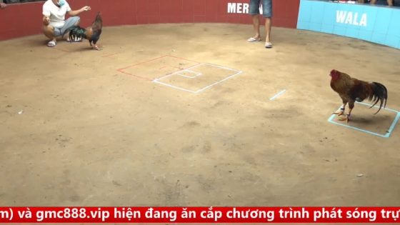 TRẬN 7 CPC4 NGÀY 17/9/2025 : XANH QUE QUÁ MAY ĐỘ KÊU MIỆNG VẪN ĂN