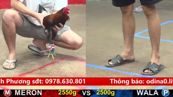 TRẬN 19 CPC5 17/9/2025 : ĐIỀU MỸ NHẬP ĐÂM CÚ SIÊU MỸ CÁI MÌNH NHƯ CÁI RỖ