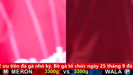 TRẬN 3 CPC5 18/9/2025 : ĐIỀU CANH NẠP 1 CHÂN LỌT ĐIỂM 10 LỤM LÚA QUÁ NHẸ NHÀNG