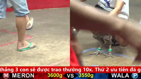 thumbnail 281