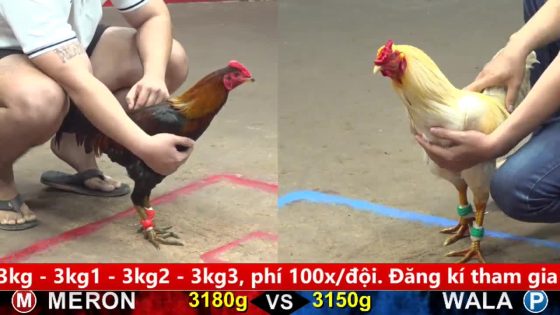 TRẬN 27 CPC5 29/9/2025 : ĐIỀU QUÁ LỰC PHÚT 90 CÁI BO CÒN NHƯ CÂY ĐẬP ÚA THỞ OXY