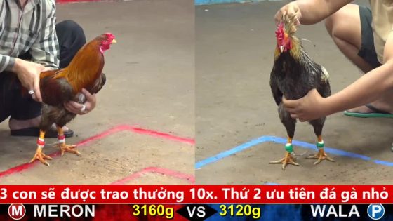 TRẬN 10 CPC5 30/9/2025 : KHÉT CANH CHẶN HẠ XÁM CHUỐI GẪY XƯƠNG ĐÙI