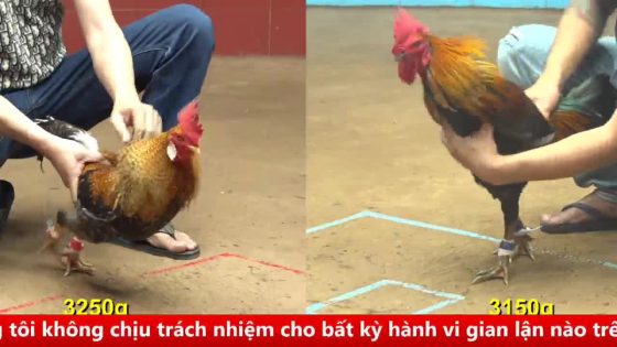 thumbnail 61