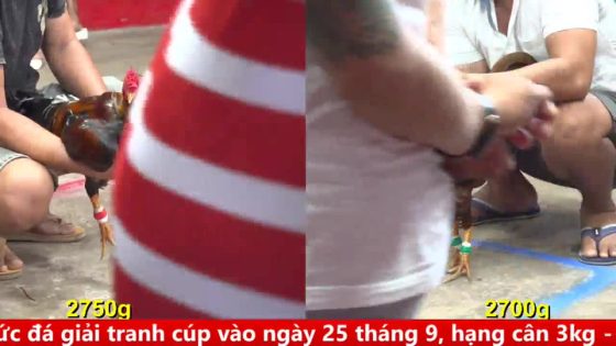 thumbnail 69