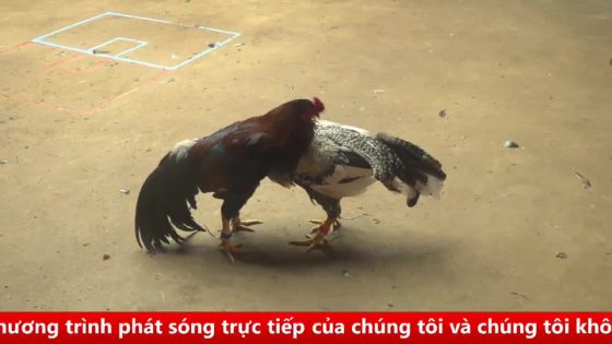 thumbnail 74
