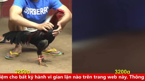 thumbnail 78