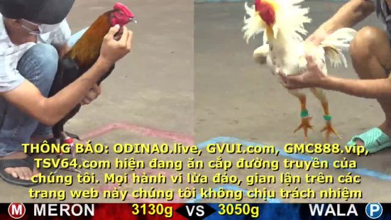 thumbnail 200