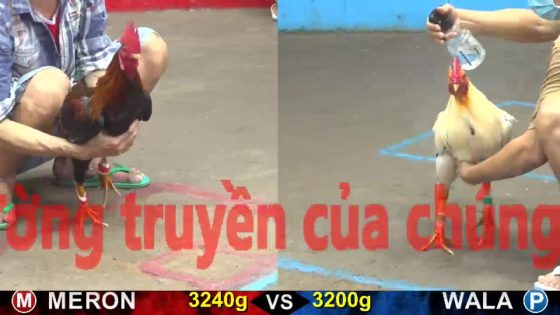 thumbnail 216