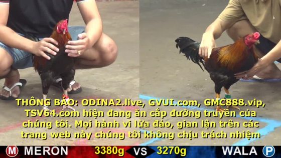 thumbnail 222