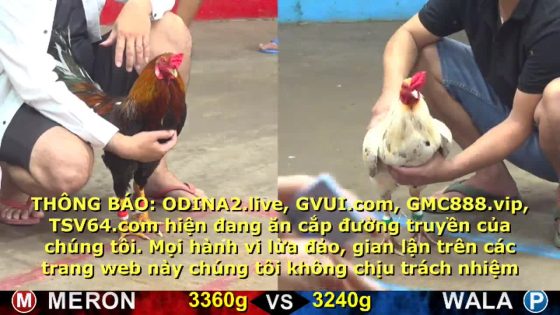 TRẬN 6 CPC5 16/10/2025 : ĐIỀU SỢ MÁU BUNG CHẠY MẤT TIỀN QUÁ ĐAU