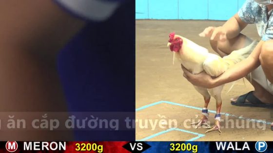 thumbnail 228