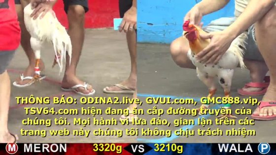 thumbnail 230