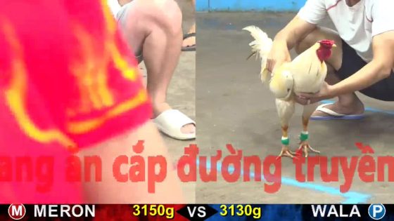 thumbnail 231