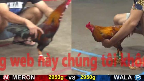 thumbnail 232