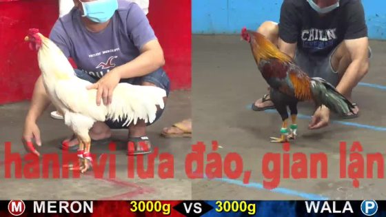 thumbnail 234