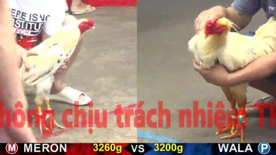 thumbnail 235