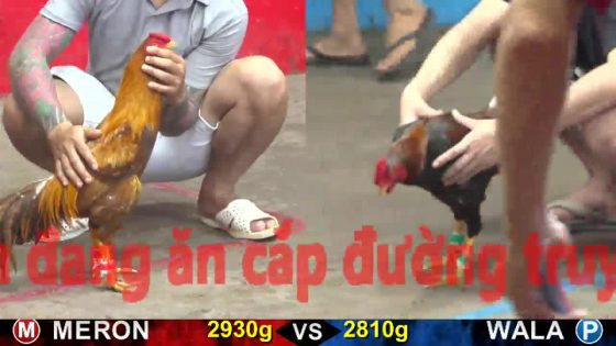 TRẬN 19 CPC5 17/10/2025 : ĐIỀU BÓP VÔ ĐÂM KHÉT RA MÁU HỌNG HẾT ĐỨNG