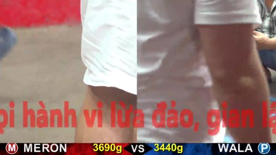 thumbnail 244