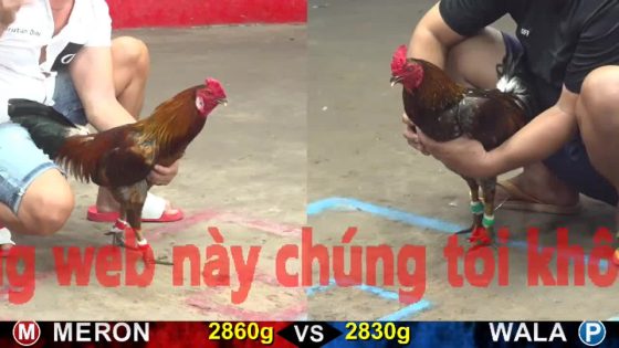 thumbnail 252