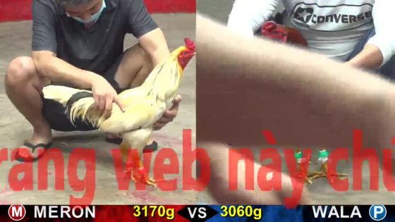 thumbnail 256