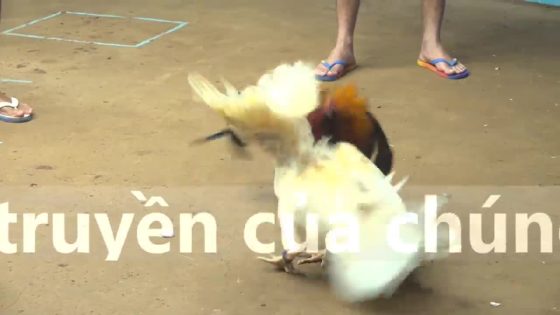 thumbnail 259