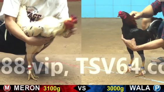 thumbnail 260