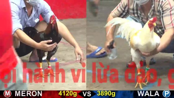 thumbnail 267