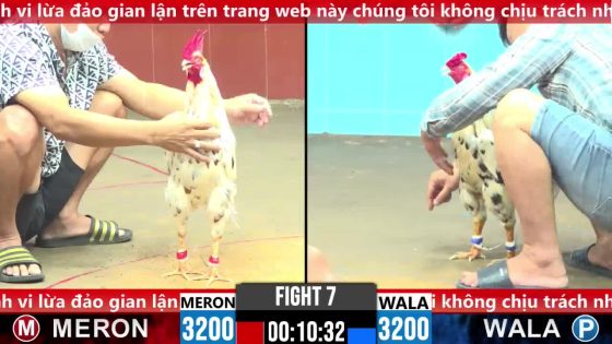 thumbnail 275