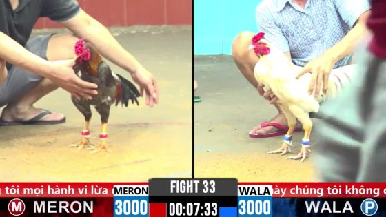 TRẬN 33 CPC6 20/10/2025 : XÁM LÔNG KHÔ NHỜ CÁI MAY ĐỘ ĐÂM BƯỚM LẾT CÁI CHÂN