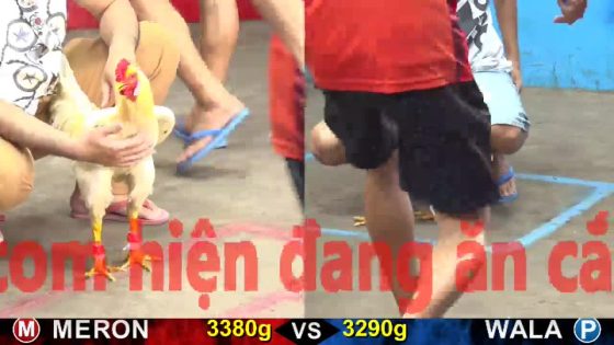 TRẬN 7 CPC5 22/10/2025 : BƯỚM THẢ RA NẠP LIÊN KHÚC ÚA LỌT RA SI RÔ