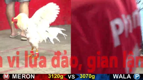 TRẬN 22 CPC5 22/10/2025 : XANH VÔ Ô ĐÂM CÂY ĐẦU ĐỎ PHÁ ĐÔI KÊU MIỆNG