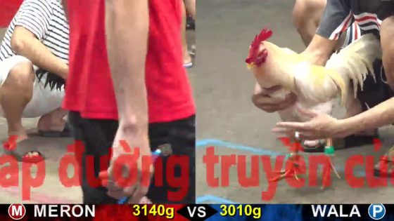 thumbnail 327